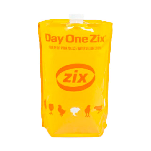 day-one-zix