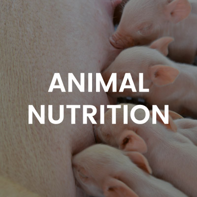 img-animal-nutrition